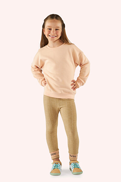 Panço Kız Çocuk Sırtı Baskı Detaylı Pembe Sweatshirt