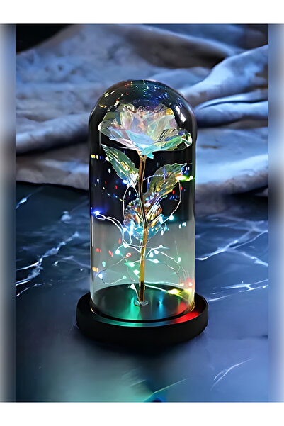 rkmstore Sevgililer Ve Anneler Gününe Özel Dekoratif Solmayan Sonsuzluk Gülü Işıklı Fanusta Gül Işıklı Fanus