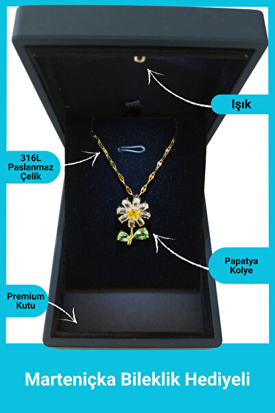 SeyCey.co في صندوق مضاء ممتاز | قلادة ديزي | فولاذ 316 لتر - غير قابل للتشويه | هدية المرأة