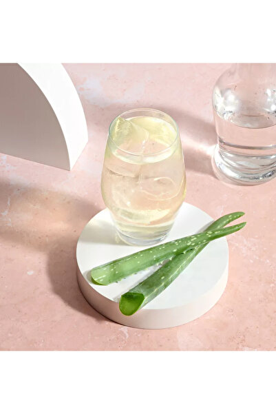 Herbalife Konsantre İçecek Herbal Aloe 473ml x 2 Adet