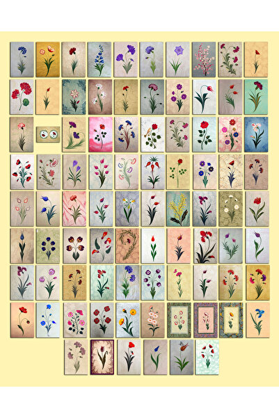 TELLGRAF طقم بطاقات بريدية تحت عنوان إبرو (10x15 سم 86 قطعة)