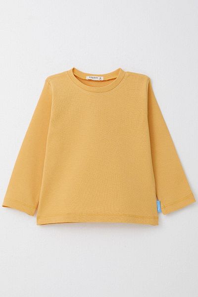 Breeze 1-4 Years Old Boy Long Sleeve T-Shirt - Mustard Yellow