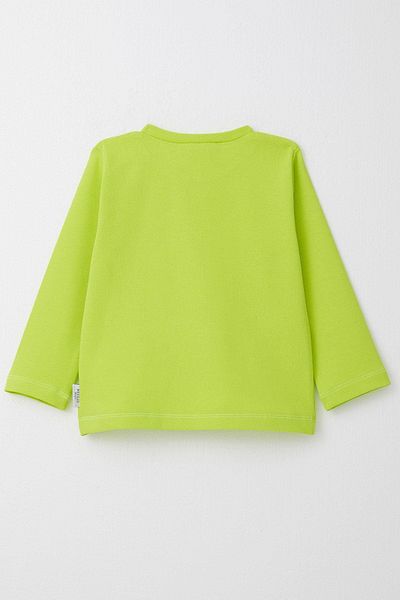 Breeze Boy's Long Sleeve T-Shirt Basic 1-4 Years, Pistachio Green