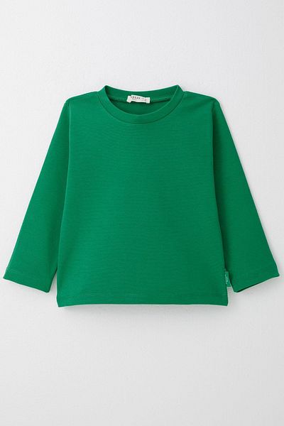 Breeze 1-4 Years Boy Green Long Sleeve T-Shirt