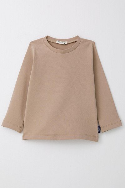 Breeze 1-4 Years Boy Mink Long Sleeve T-Shirt