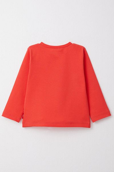 Breeze 1-4 Years Old Boy T-Shirt - Long Sleeve, Pomegranate Flower Pattern