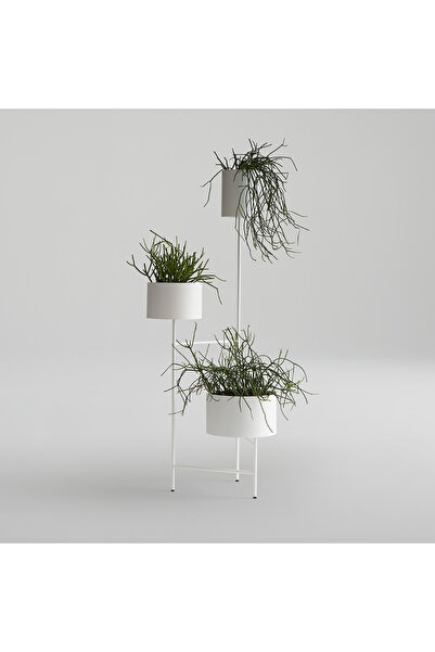 SCY Herba Metal Özel Tasarım 3 Saksılı Raflı Dekoratif Yuvarlak Beyaz Çiçekli...