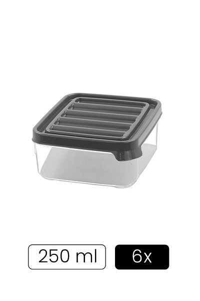 Kitchen Life 6 Pieces 250 ml Refrigerator and Microwave Storage Container - Refrigerator Organizer Storage Box