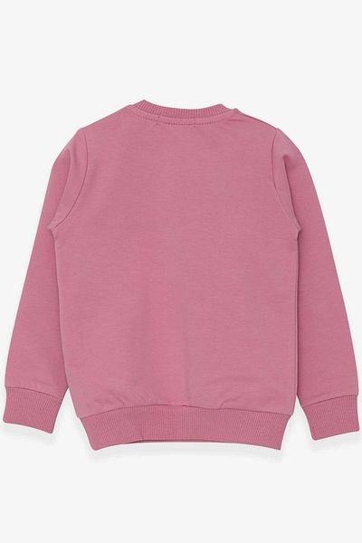 Breeze Girl's Sweatshirt Rabbit Embroidered Sequin 1.5-5 Years, Dried Rose