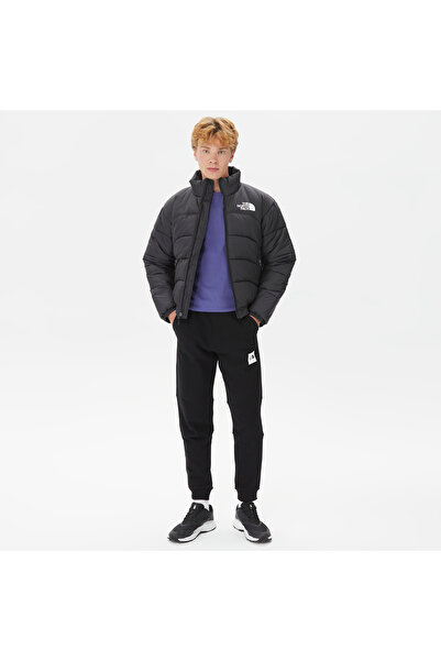THE NORTH FACE 2000 Synthetic Puffer Erkek Siyah Mont