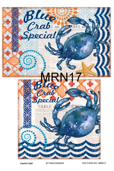 LİNEART Marine Serisi Pirinc Dekopaj Kagıdı  29X42cm No:MRN17