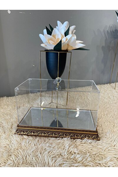 Benjamin Çeyiz Plexi Fanus Orta Boy Pleksi