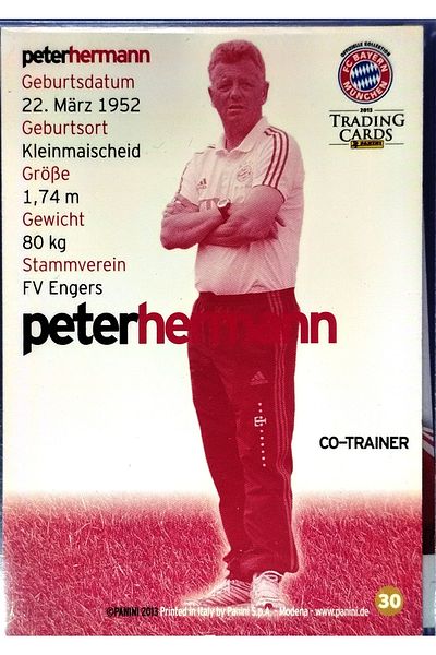 Panini Peter Hermann 2013 Special Edition Card
