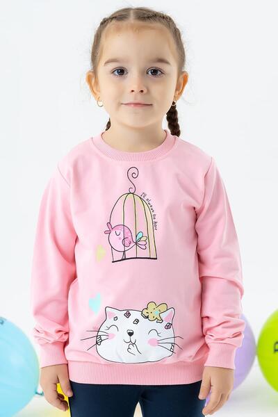 Breeze Kız Çocuk Sweatshirt Simli Kedicik Baskılı 1.5-5 Yaş, Pudra
