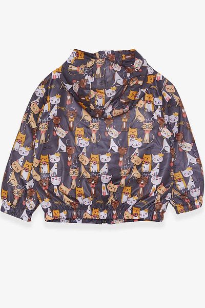 Breeze 1-6 Years Old Girl's Smoked Raincoat with Kitten Pattern