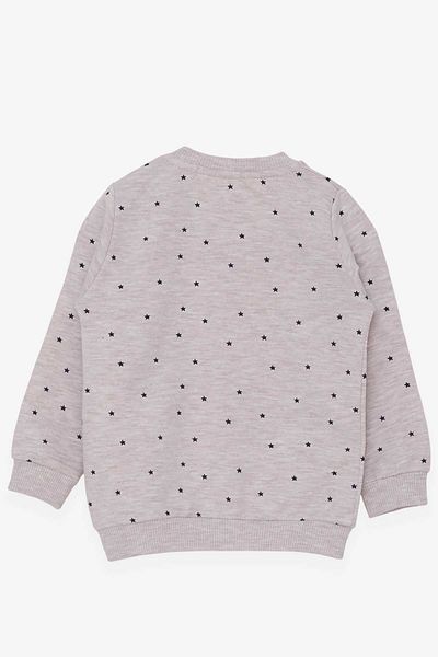 Breeze Baby Girl Sweatshirt Happy Kittens 4 Months-1.5 Years, Beige Melange