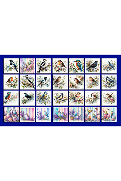 TELLGRAF مجموعة بطاقات بريدية تحت عنوان الطيور (10x10 سم 28 قطعة)