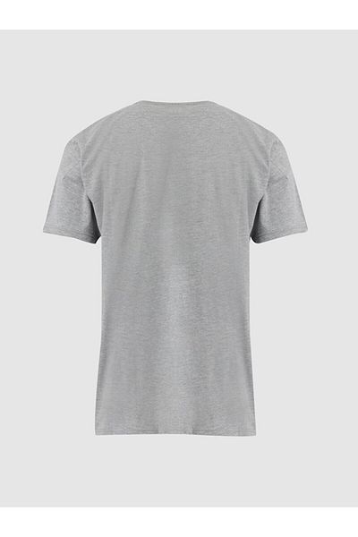 Ltb Round Neck Gray T-shirt with Logo