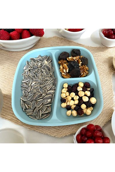 HOLLYHOME 1 Piece 3 Compartment Plastic Breakfast Plate - Picnic Camping Cookie Food Serving Plate Table