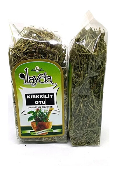 Kayalar İlayda Kırk Kilit Otu