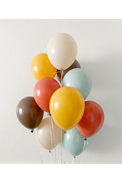 Öztürkpartievi 20 بالونة بألوان الباستيل الرجعية