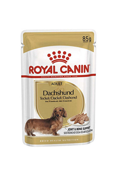 Royal Canin طعام الكلاب الرطبة للكلاب البالغة من سلالة داشهند - 85 جرام