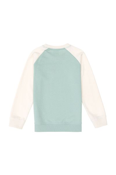 U.S. Polo Assn. Boy's Water Green Crew Neck Sweatshirt 50293605 -Vr048