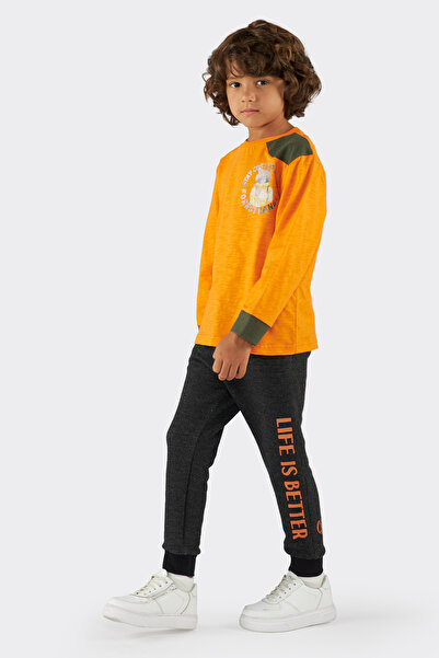 Panço Erkek Çocuk Baskı Detaylı Uzun Kollu Oranj Tişört