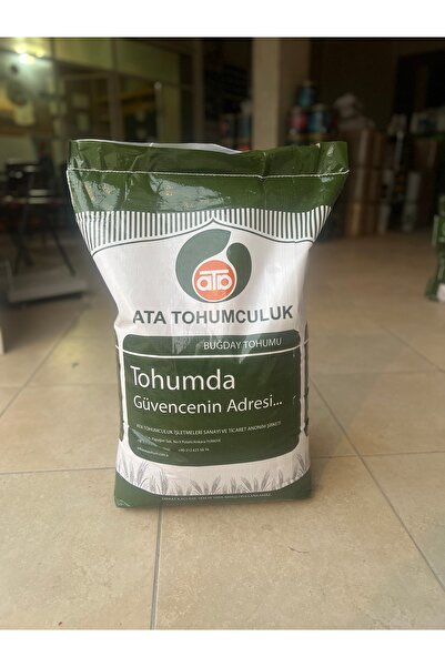Adagio Ata Tohumculuk Sert Ekmeklik Sertifikalı Buğday Tohumu (25KG)
