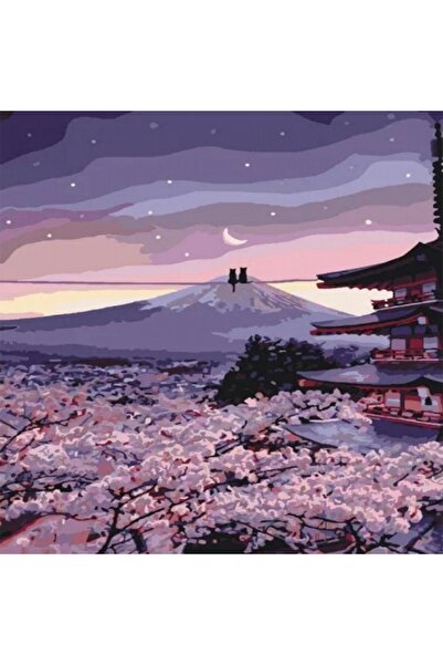 P Parla Canvas Romantik Çin Kedileri Sayılarla Boyama Seti Kasnaklı 60 X 75 Cm