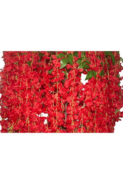 YASİMA Yasima 12li Kırmızı Sarkan Akasya Çiçeği Nişan Düğün Dekor Süslemesi