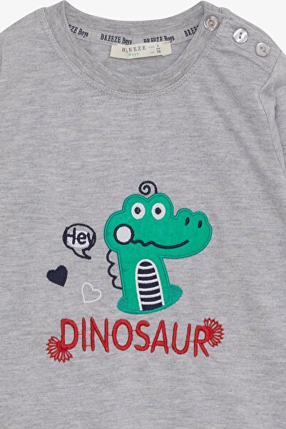 Breeze Baby Boy Long Sleeve T-Shirt with Dinosaur Embroidery, 9 Months-3 Years, Gray Melange
