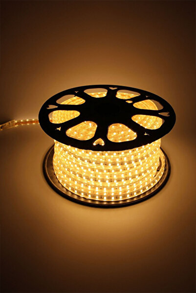 TrendDeco Günışığı 50 Metre 220 Volt Hortum Led