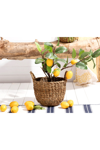 Madame Coco دوريس سلة الخوص المتوسطة