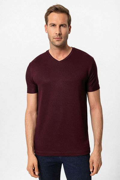 Antioch Plum Basic V-Neck Men's T-Shirt