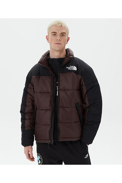 Mens coats the north face clearance
