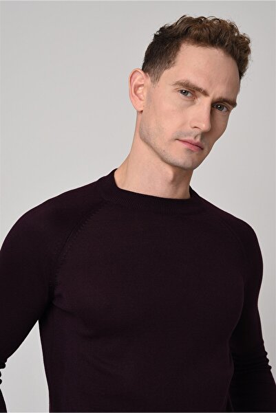 Antioch Dark Plum Crew Neck Slim Fit Knitwear Sweater