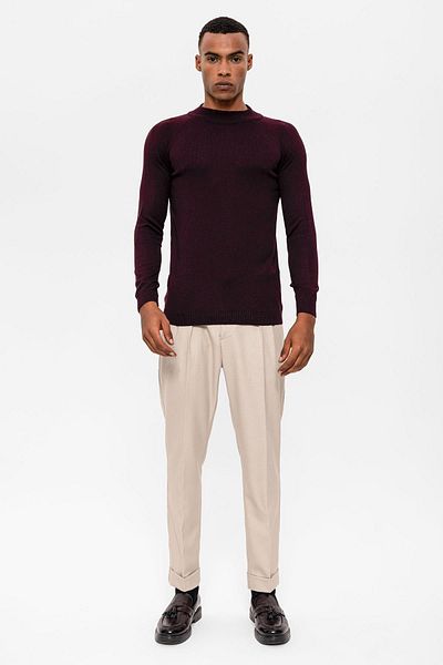 Antioch Plum Half-Necked Men's Knitwear