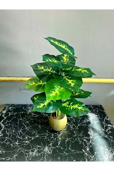 digitalavm akıllı alışveriş adresiniz 18 YAPRAKLI 70 CM DİFENBAHYA SALON ÇİÇEĞİ