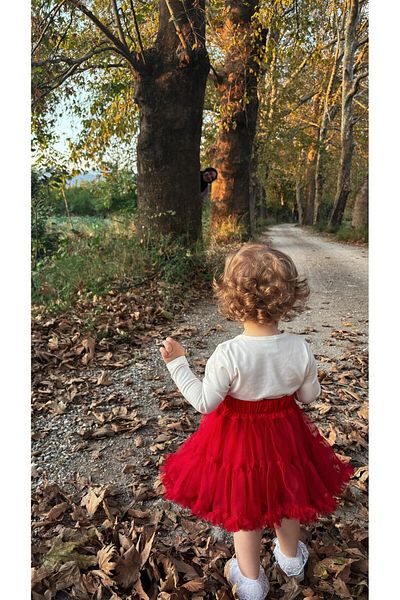ALYRA Girl Child Baby Tulle Tutu with Bow Special Day Birthday Wedding Party Puffy Ruffled Eid Skirt
