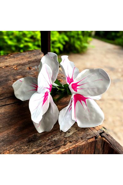 alsaccessories Women's White Color Floral Orchid Earrings