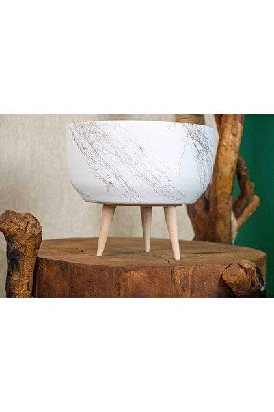 BİTKİ TASARIMI Bitki Tasarımı Ev Dekorasyon Beyaz Üzeri Gold Toprak Terakota ...