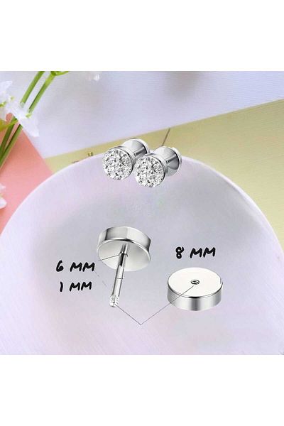 Dodemert Home Zircon Stone Silver Stainless Steel Earrings
