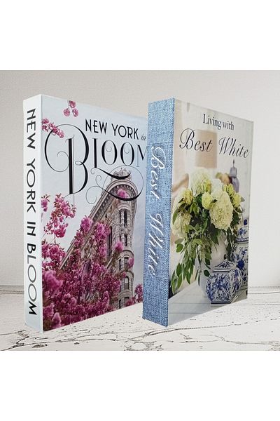 BayCazip Decorative Book-Looking Box Set of 2