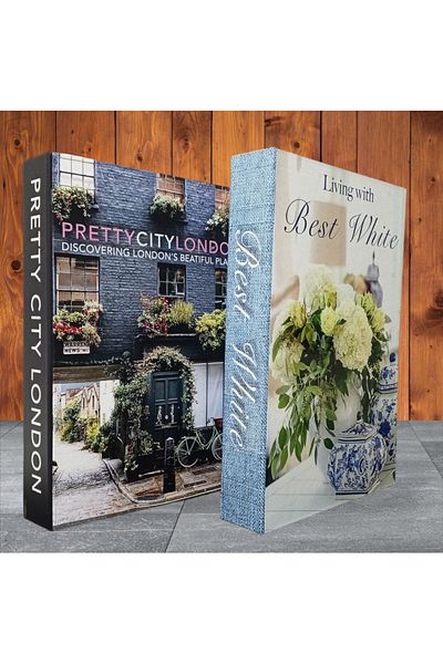 BayCazip Decorative Book Look Box Set of 2 Decorative Book Looking Box