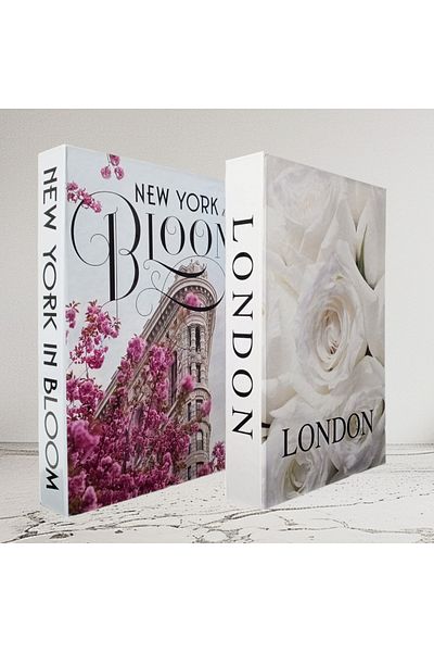 BayCazip Decorative Book Look Box Set of 2 Decorative Book Looking Box