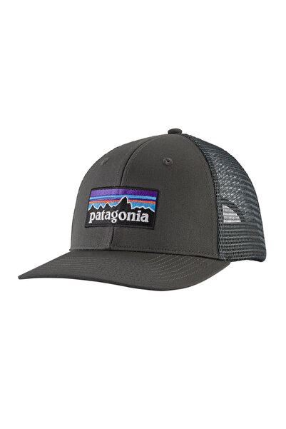 Patagonia Șapcă camionetă cu logo P-6