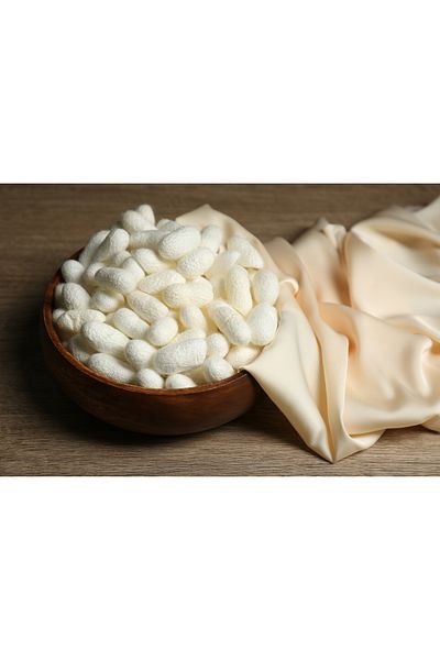 ICON SILK 100% Μεταξωτή Μαξιλαροθήκη 1 Τεμάχιο 50cm*70cm (Μπλε Παλίσα)