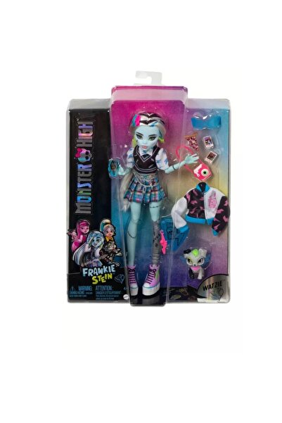 MONSTER HIGH Frankie Stein Ana Karakter Bebekler, Hhk53