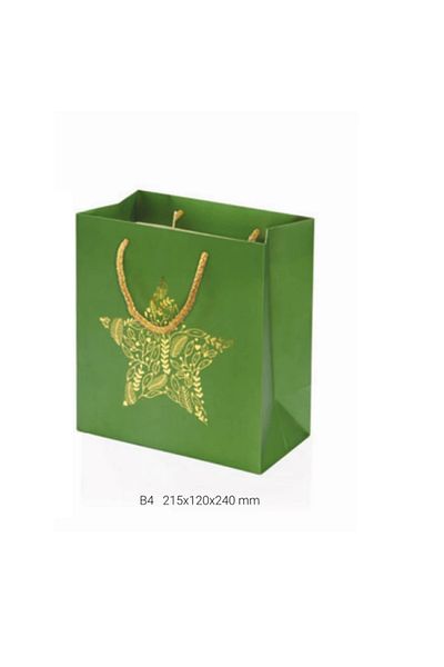 Gıpta GIPTA B4 LUZ - Gift Cardboard Bag BG0147